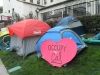 Occupy Cal