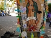 Divina