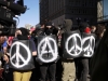 peacesheilds