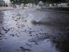 Mud Courtesy of the City