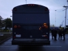 Pig Bus